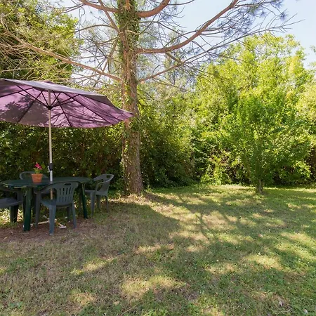 L'esinante * Cupramontana