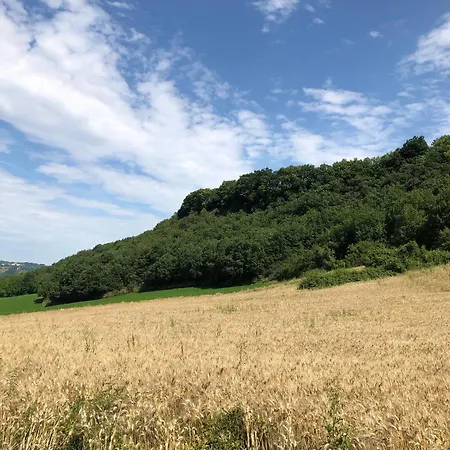 L'esinante Cupramontana